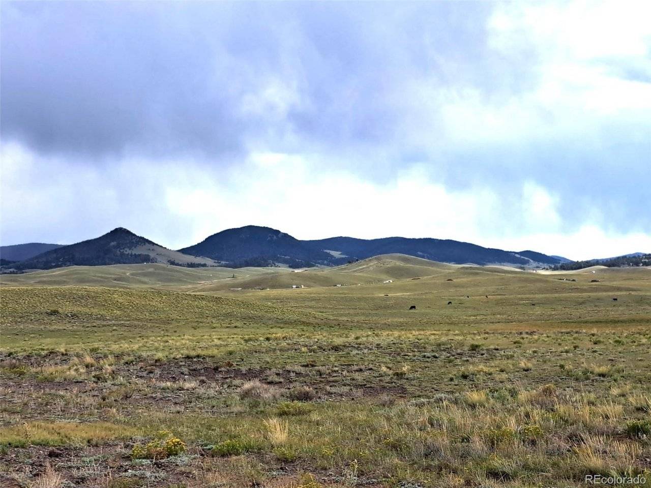 217 Black Gatto, Hartsel, CO 80449
