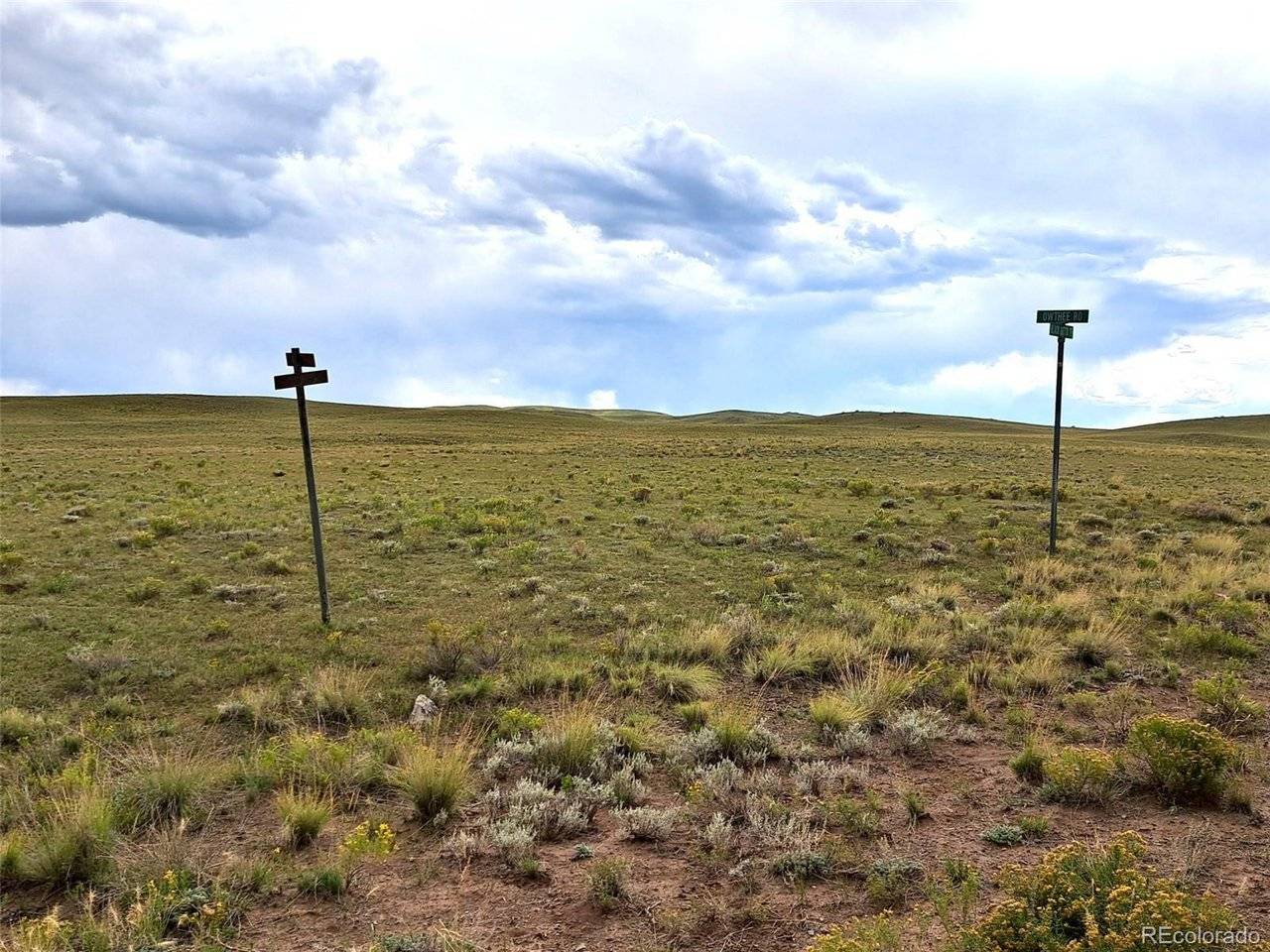217 Black Gatto, Hartsel, CO 80449