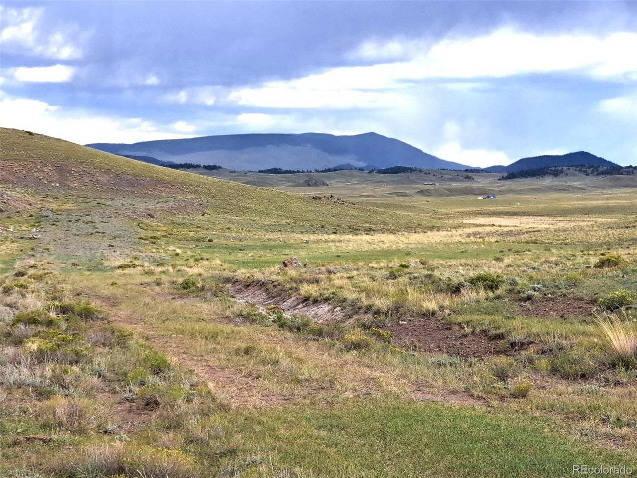 217 Black Gatto, Hartsel, CO 80449