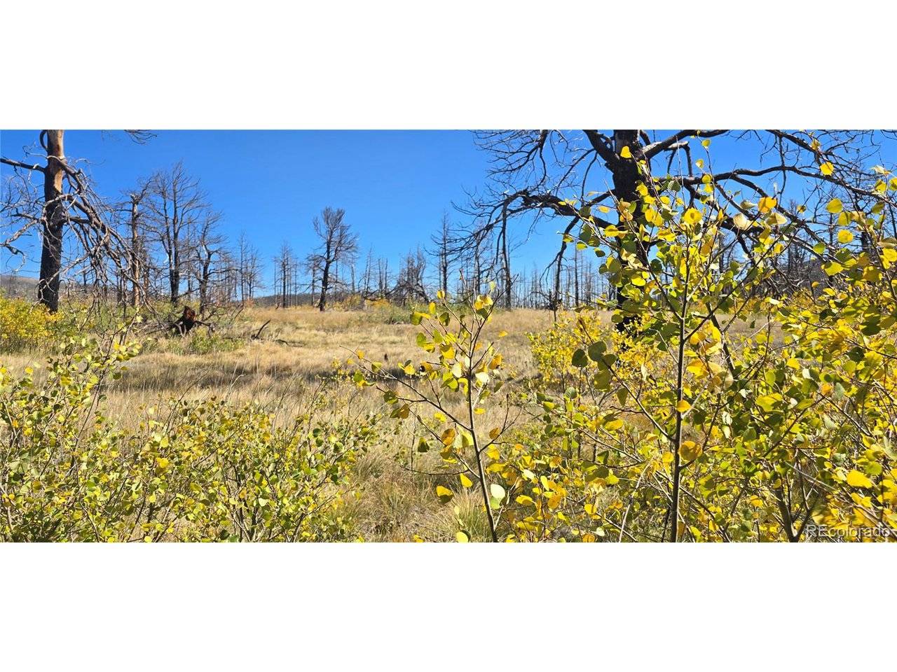 1684 Emery, Fort Garland, CO 81133