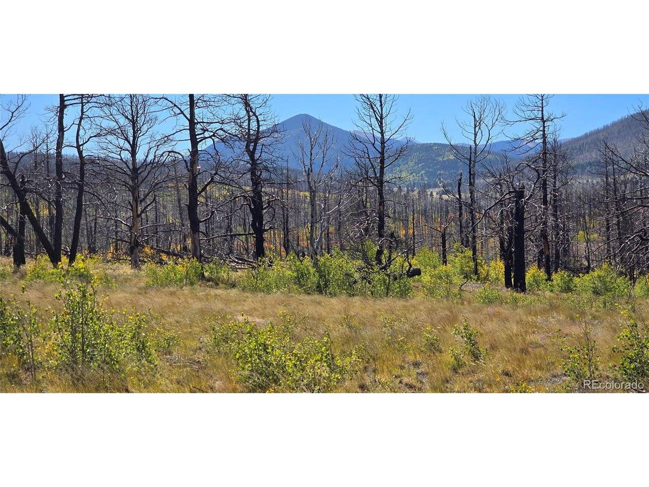 1684 Emery, Fort Garland, CO 81133