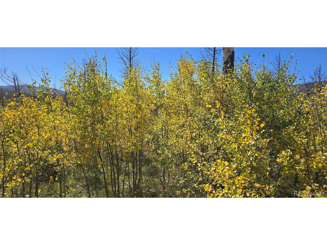 1684 Emery, Fort Garland, CO 81133