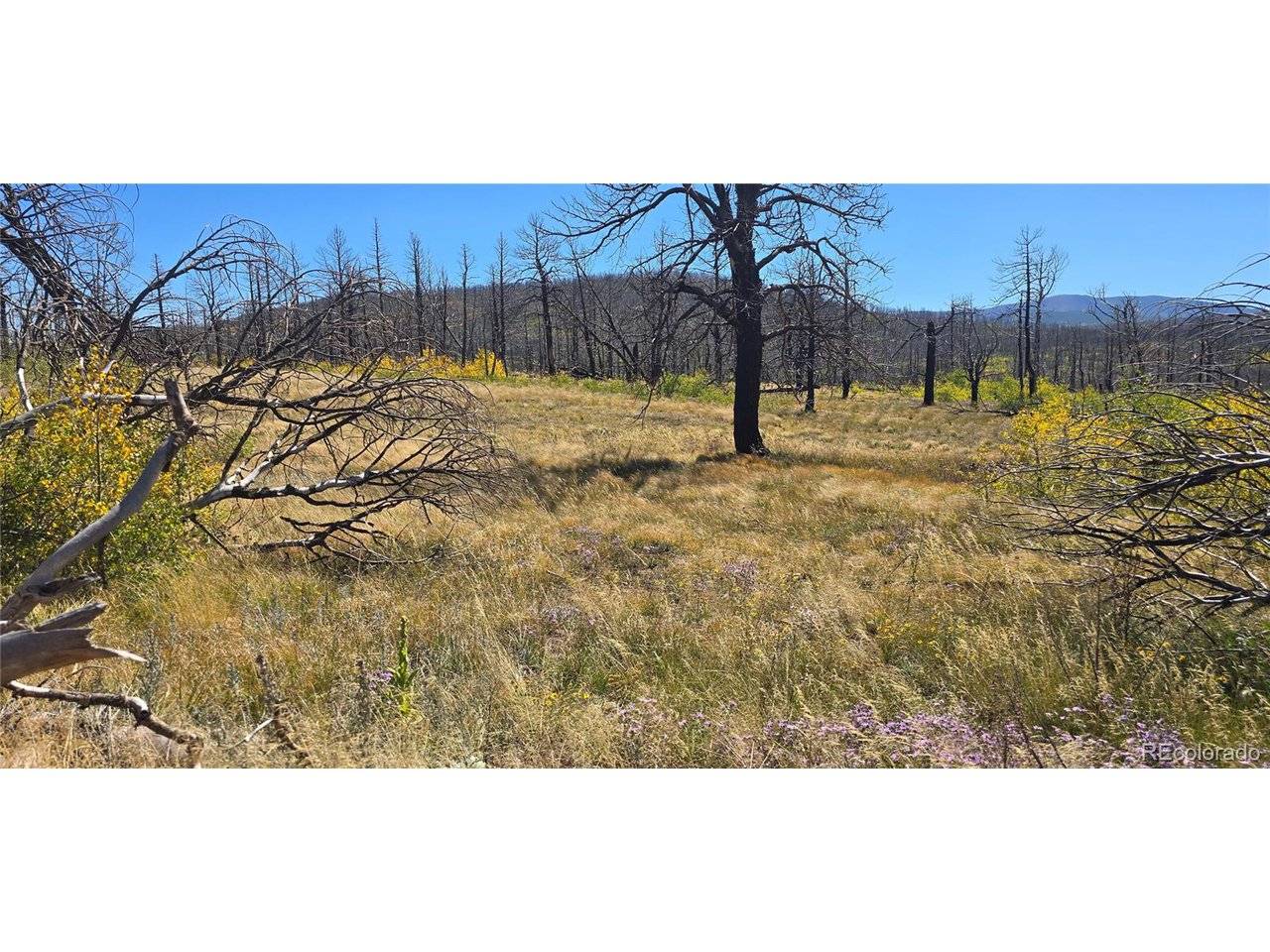 1684 Emery, Fort Garland, CO 81133