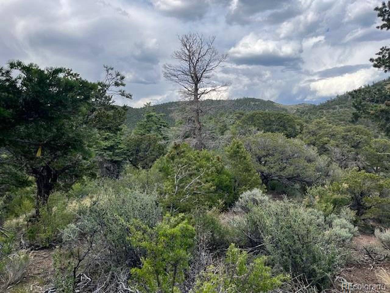 5056 France Aimee, Fort Garland, CO 81133