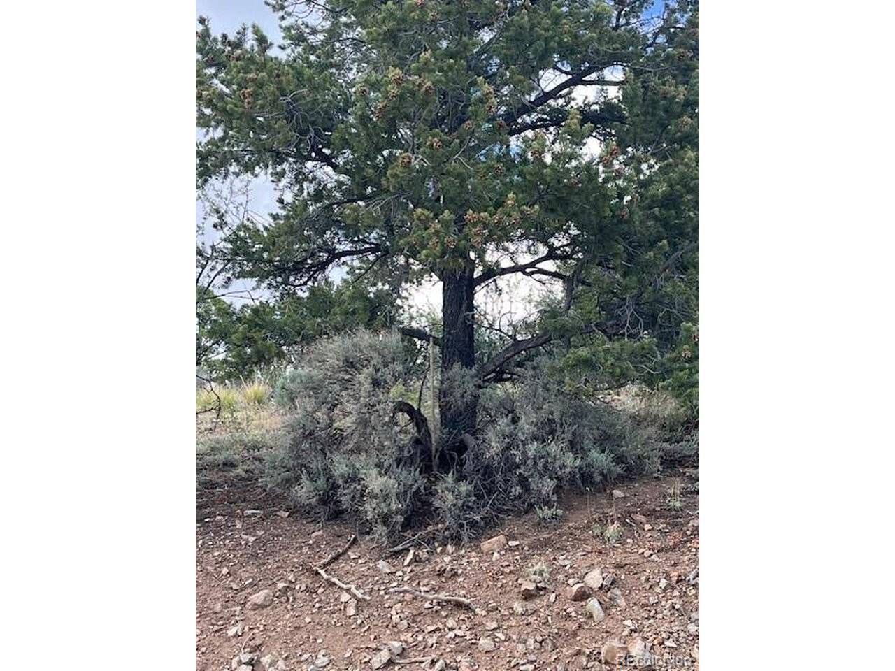 5056 France Aimee, Fort Garland, CO 81133