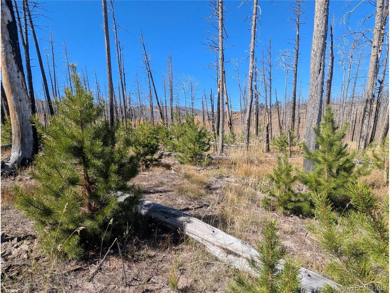 1708 Burgoyne, Fort Garland, CO 81133