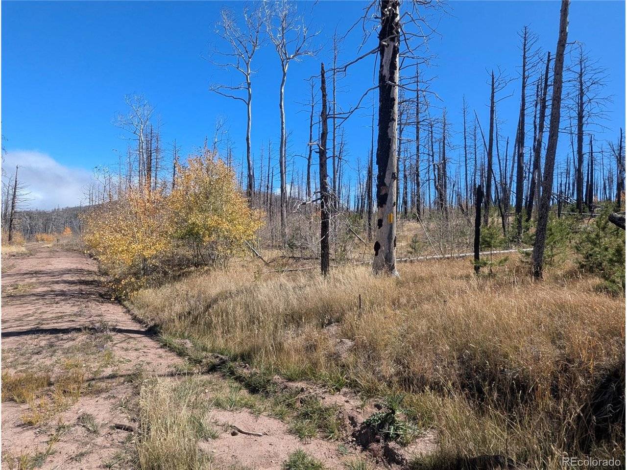 1708 Burgoyne, Fort Garland, CO 81133