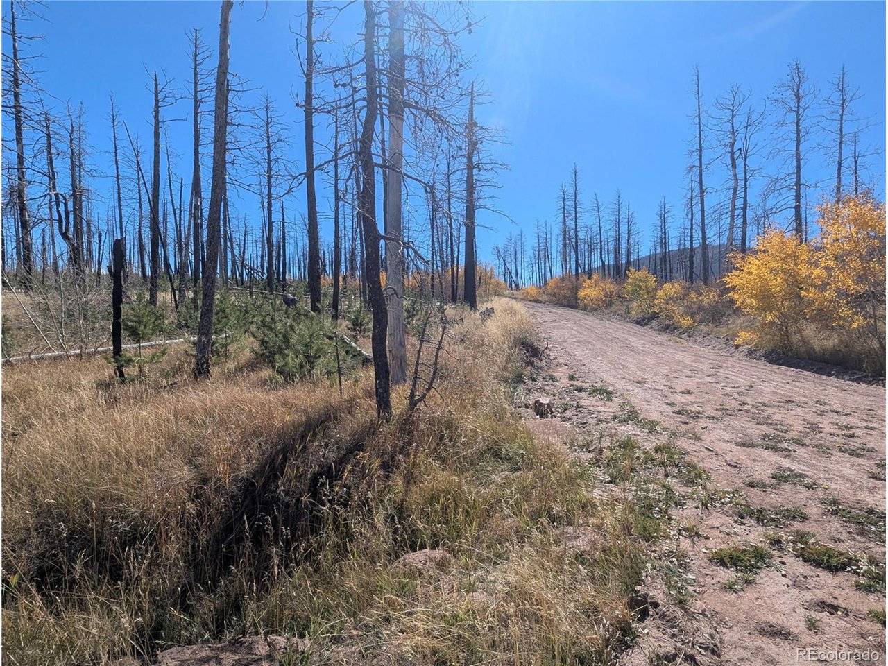 1708 Burgoyne, Fort Garland, CO 81133