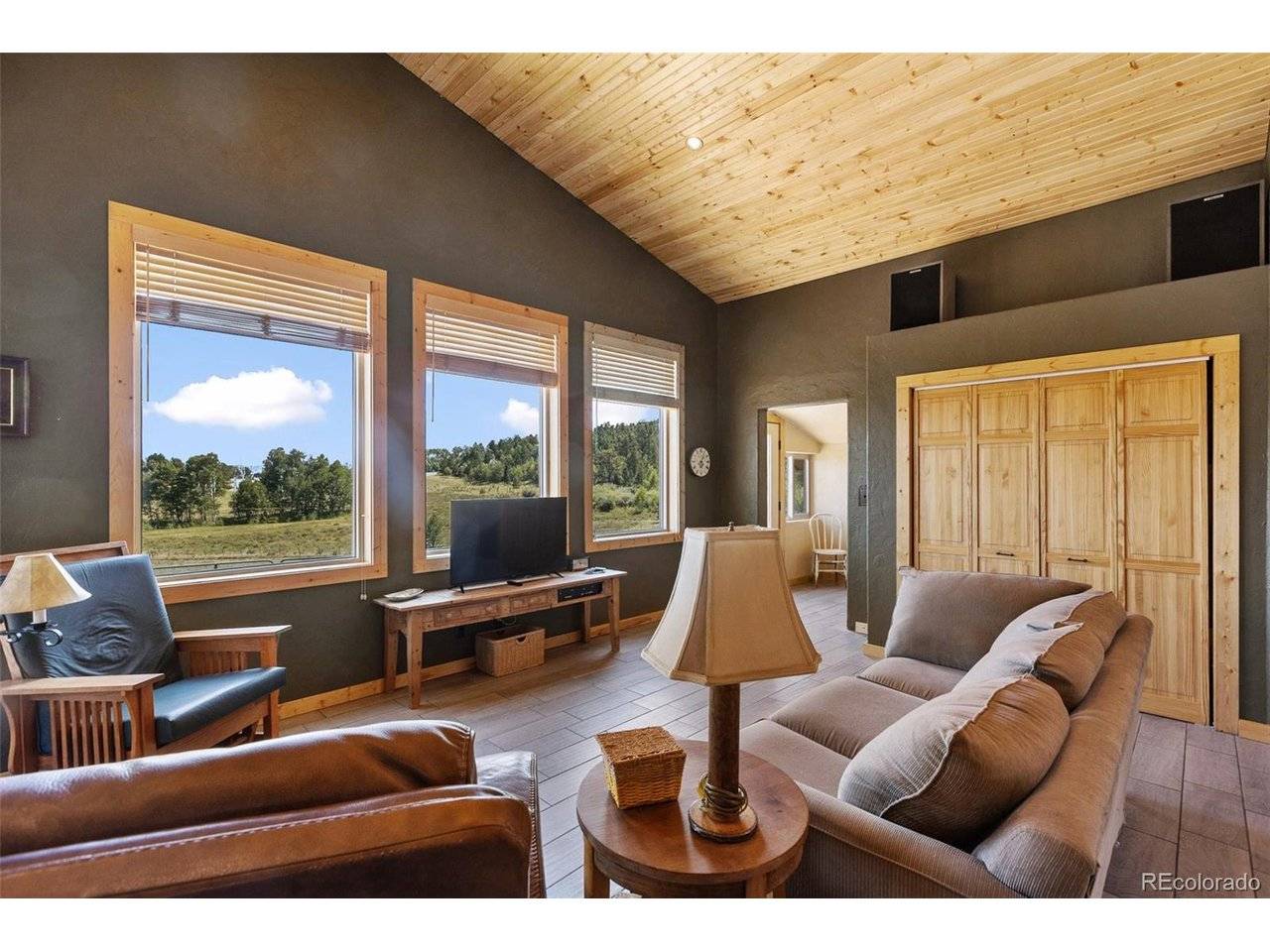 3153 Homestake, Florissant, CO 80816