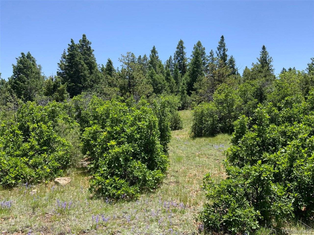 0 Peak View Ridge, Canon City, CO 81212