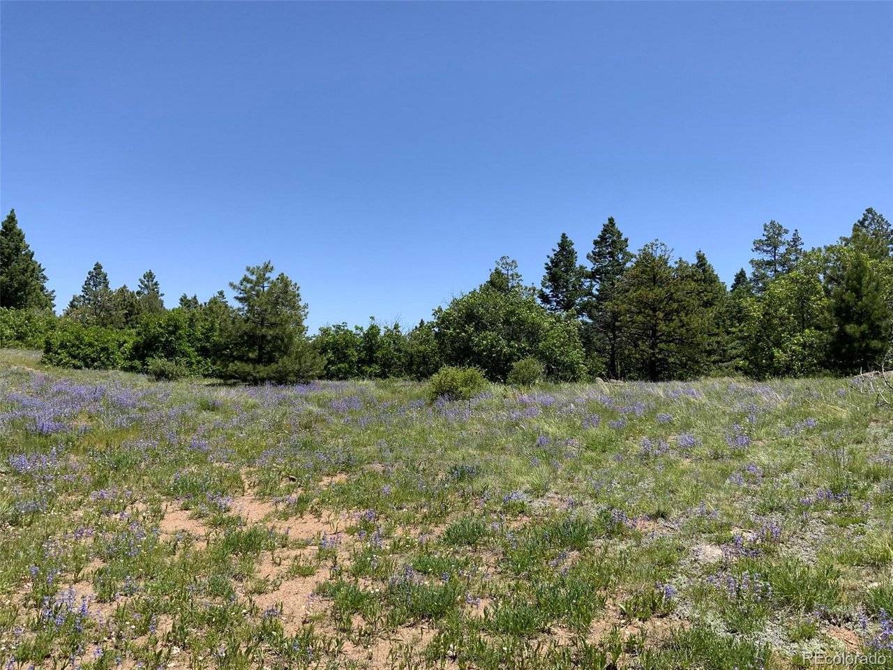0 Peak View Ridge, Canon City, CO 81212