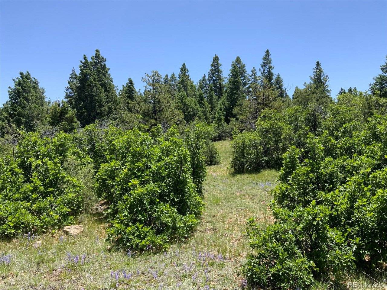 0 Peak View Ridge, Canon City, CO 81212