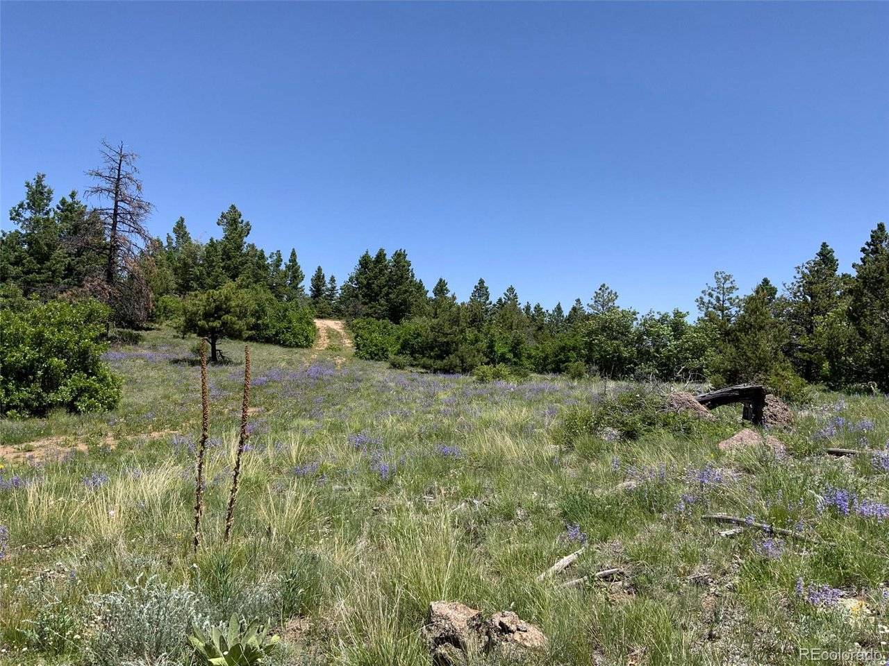 0 Peak View Ridge, Canon City, CO 81212