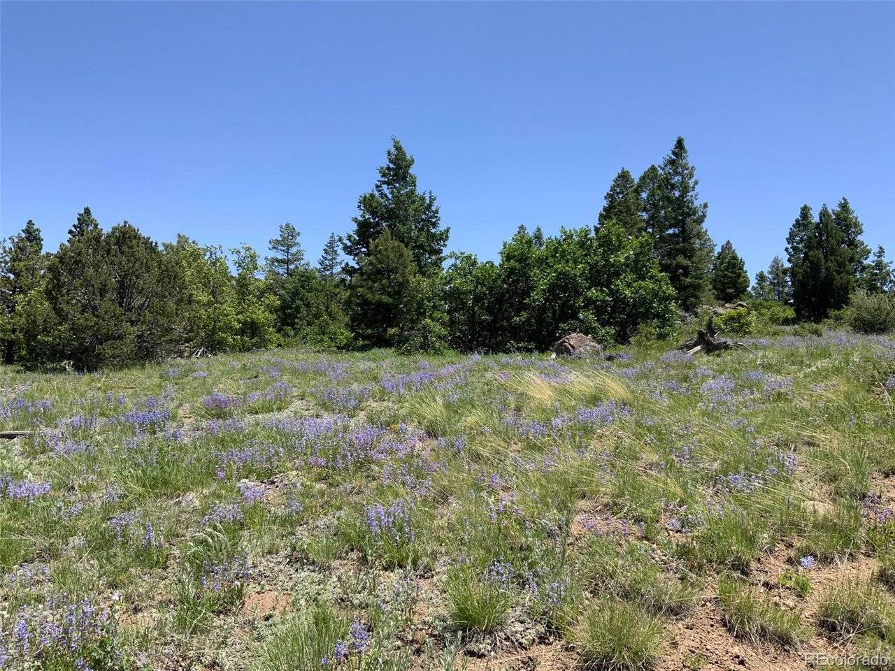 0 Peak View Ridge, Canon City, CO 81212