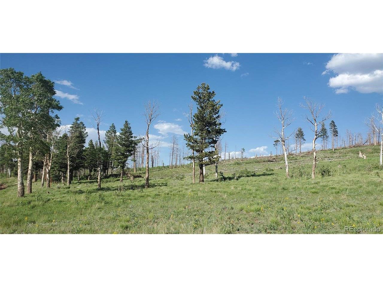 2120 Sigler, Fort Garland, CO 81133