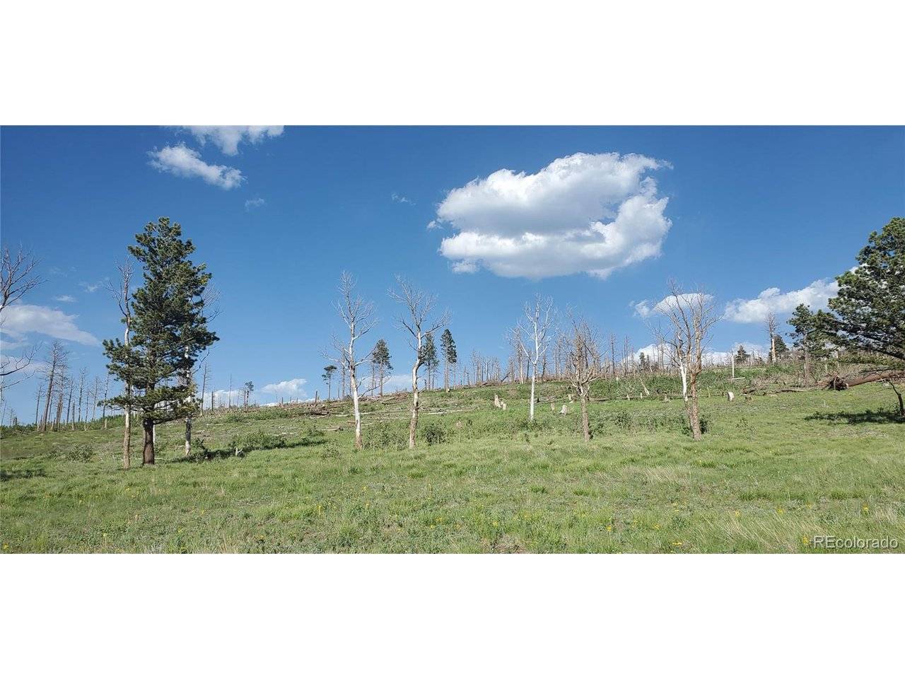 2120 Sigler, Fort Garland, CO 81133