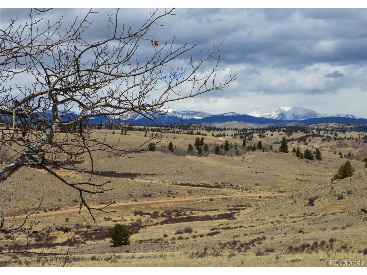 537 Lippzana, Jefferson, CO 80456