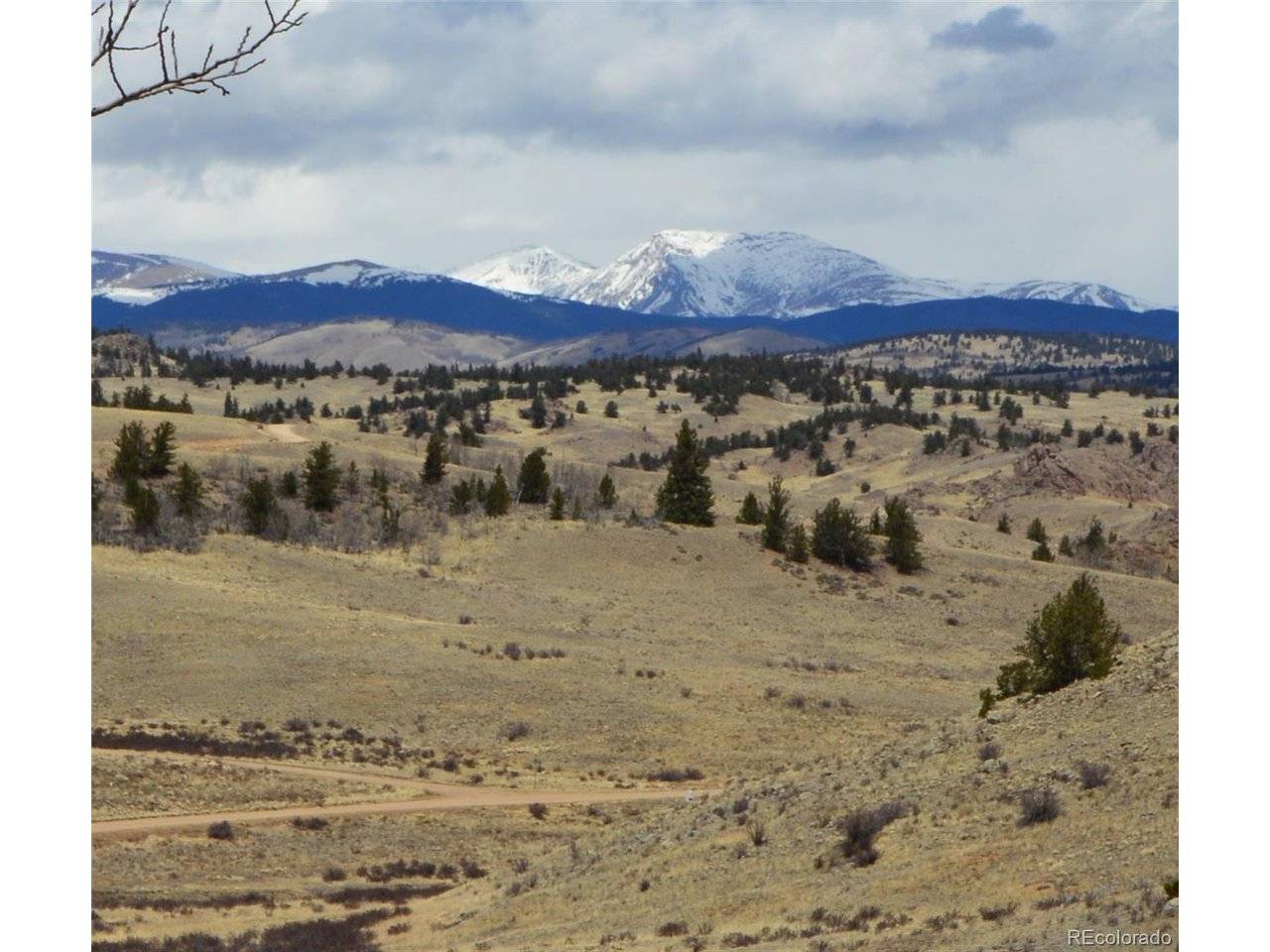 537 Lippzana, Jefferson, CO 80456