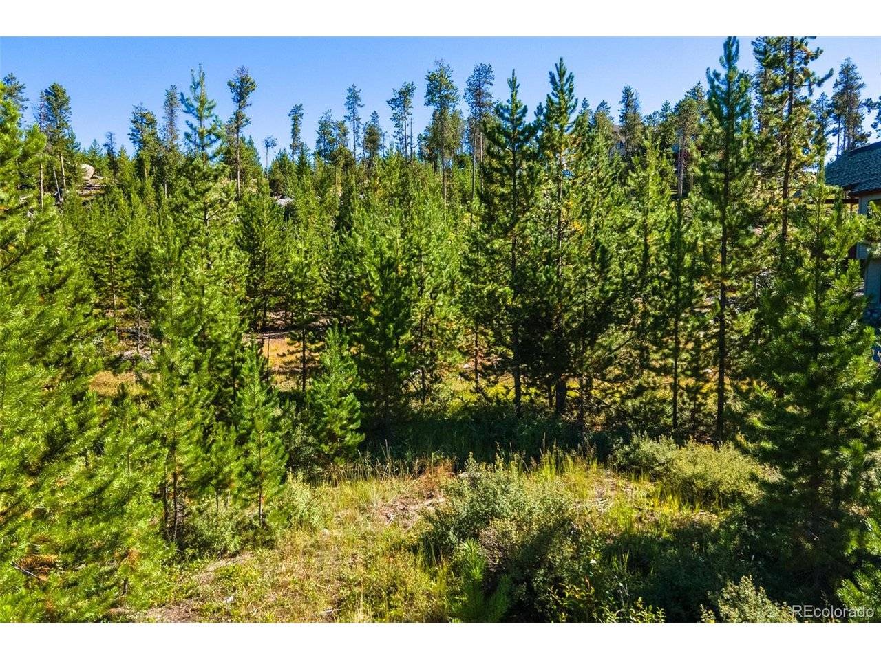51 GCR 6621, Grand Lake, CO 80447
