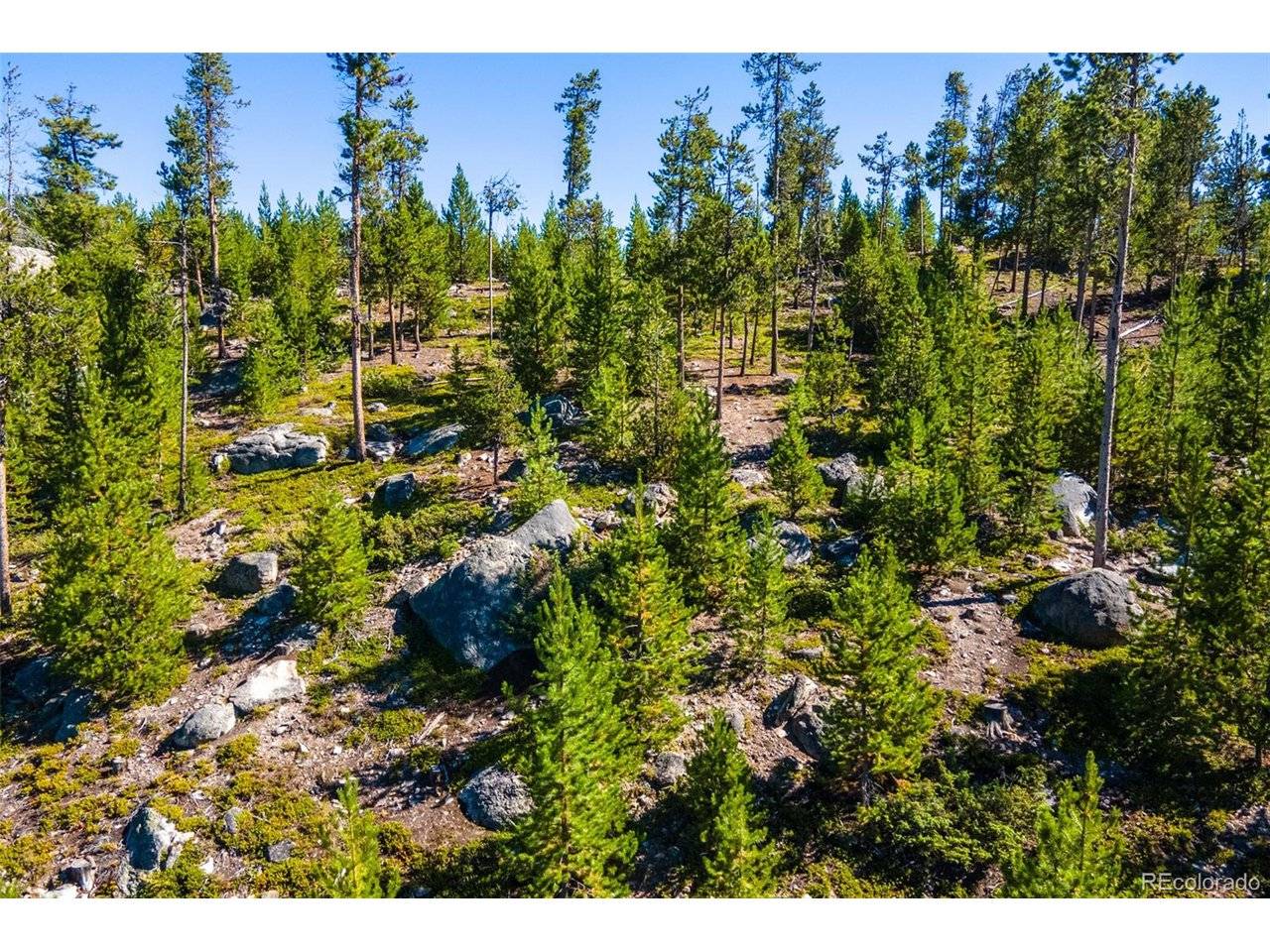 51 GCR 6621, Grand Lake, CO 80447