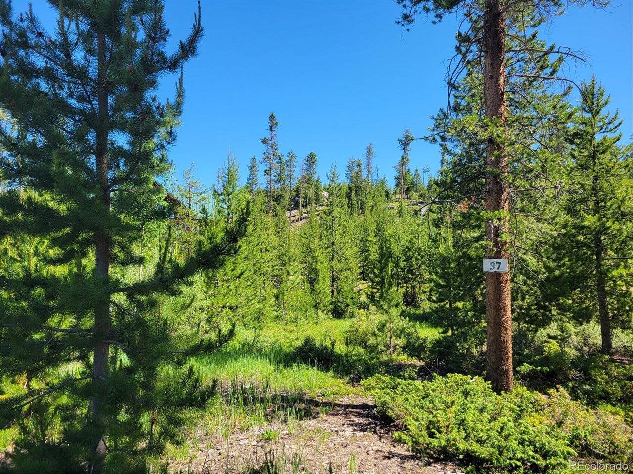 51 GCR 6621, Grand Lake, CO 80447