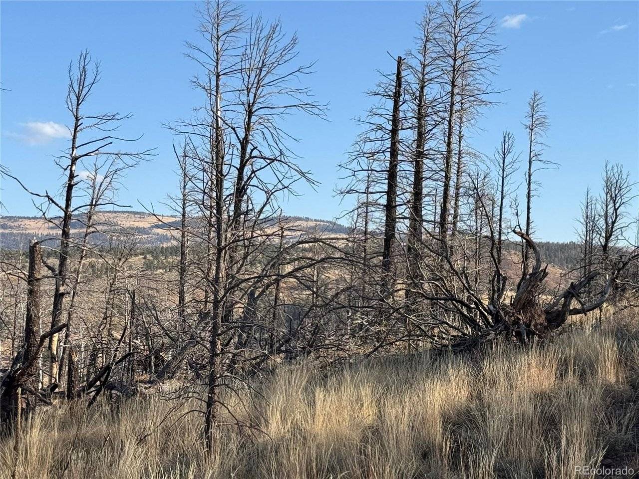 Forbes Park Rd, Fort Garland, CO 81133