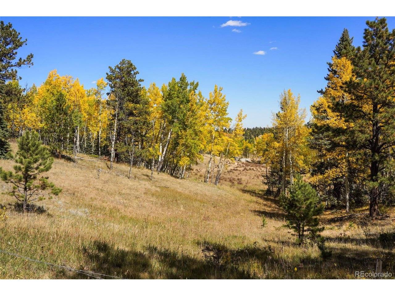 0 Schubarth, Woodland Park, CO 80863
