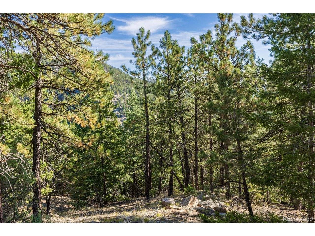 155 Millionaire, Boulder, CO 80302