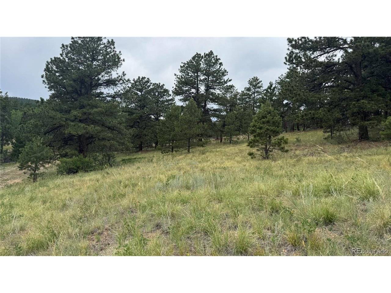 3 Church Placer, Central City, CO 80427