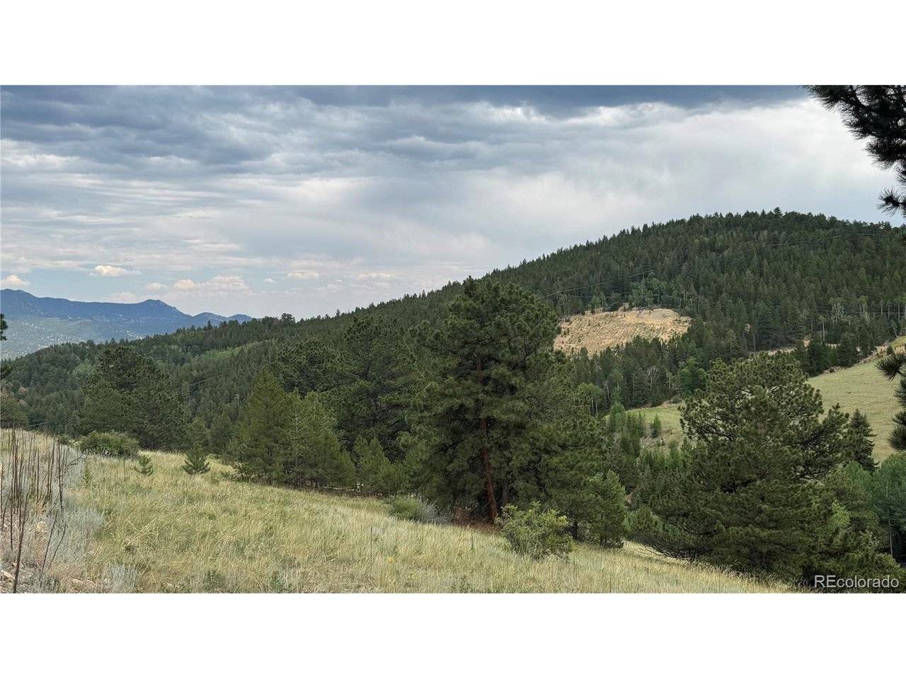 3 Church Placer, Central City, CO 80427