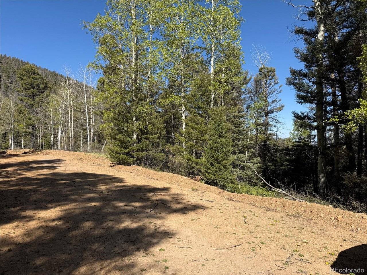 6031 Bruce, Fort Garland, CO 81133
