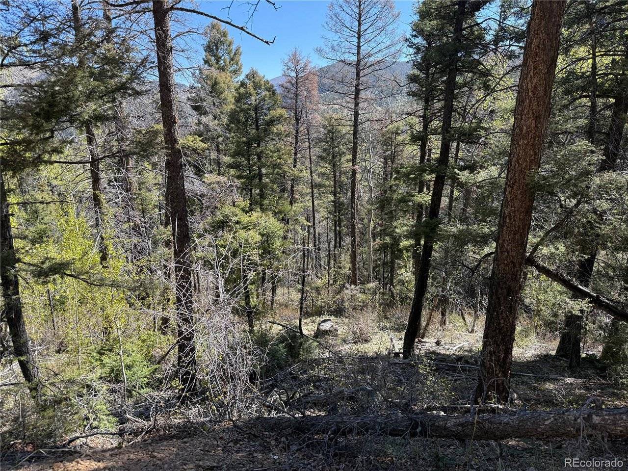 6031 Bruce, Fort Garland, CO 81133