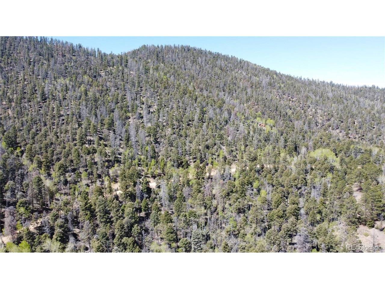 6031 Bruce, Fort Garland, CO 81133