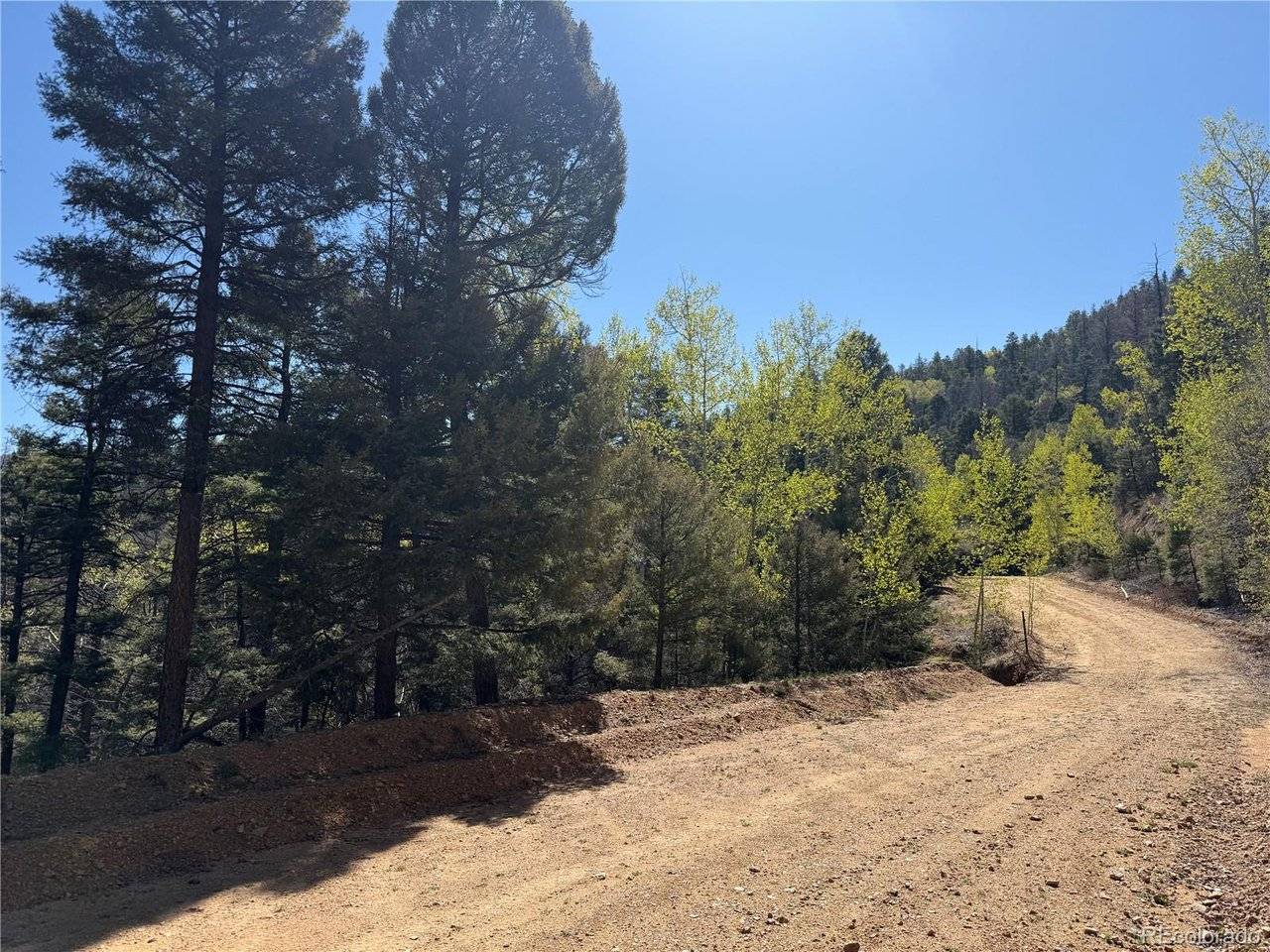 6031 Bruce, Fort Garland, CO 81133