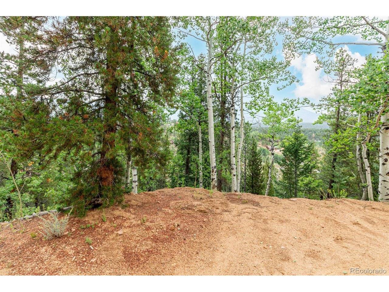 427 Wise, Bailey, CO 80421