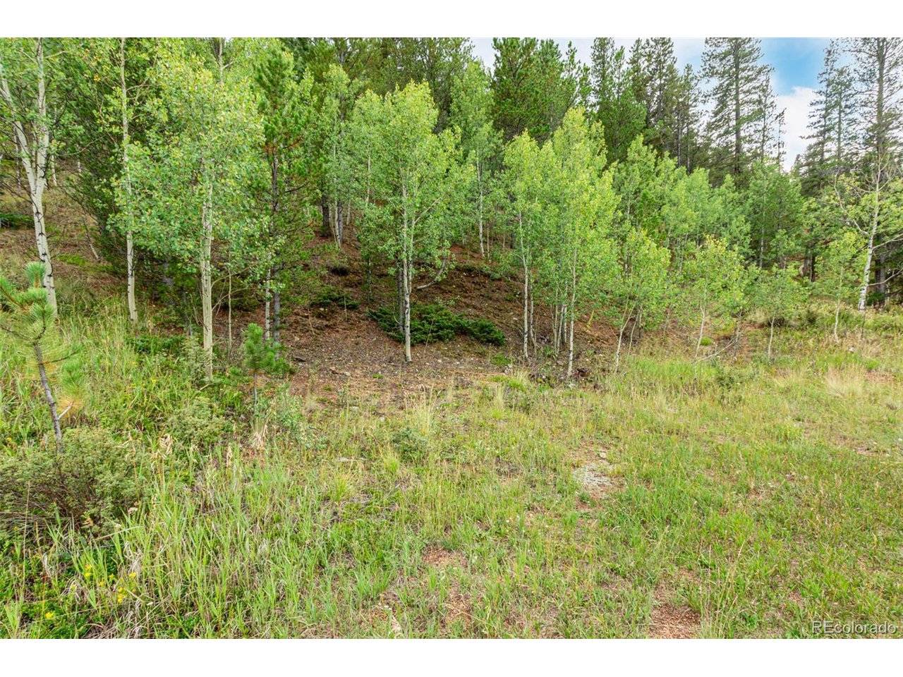 427 Wise, Bailey, CO 80421