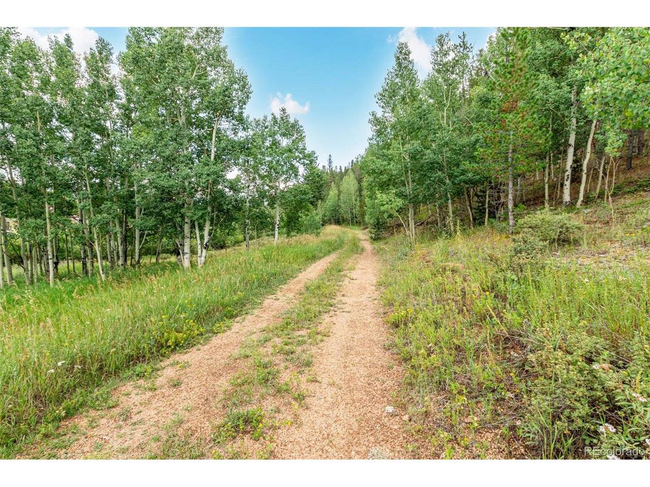 427 Wise, Bailey, CO 80421