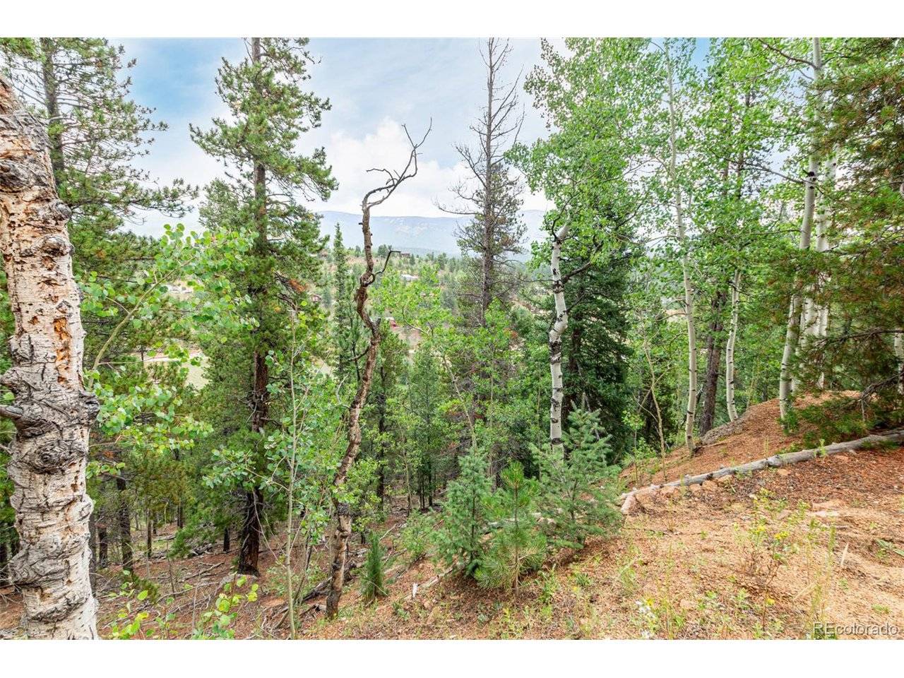 427 Wise, Bailey, CO 80421