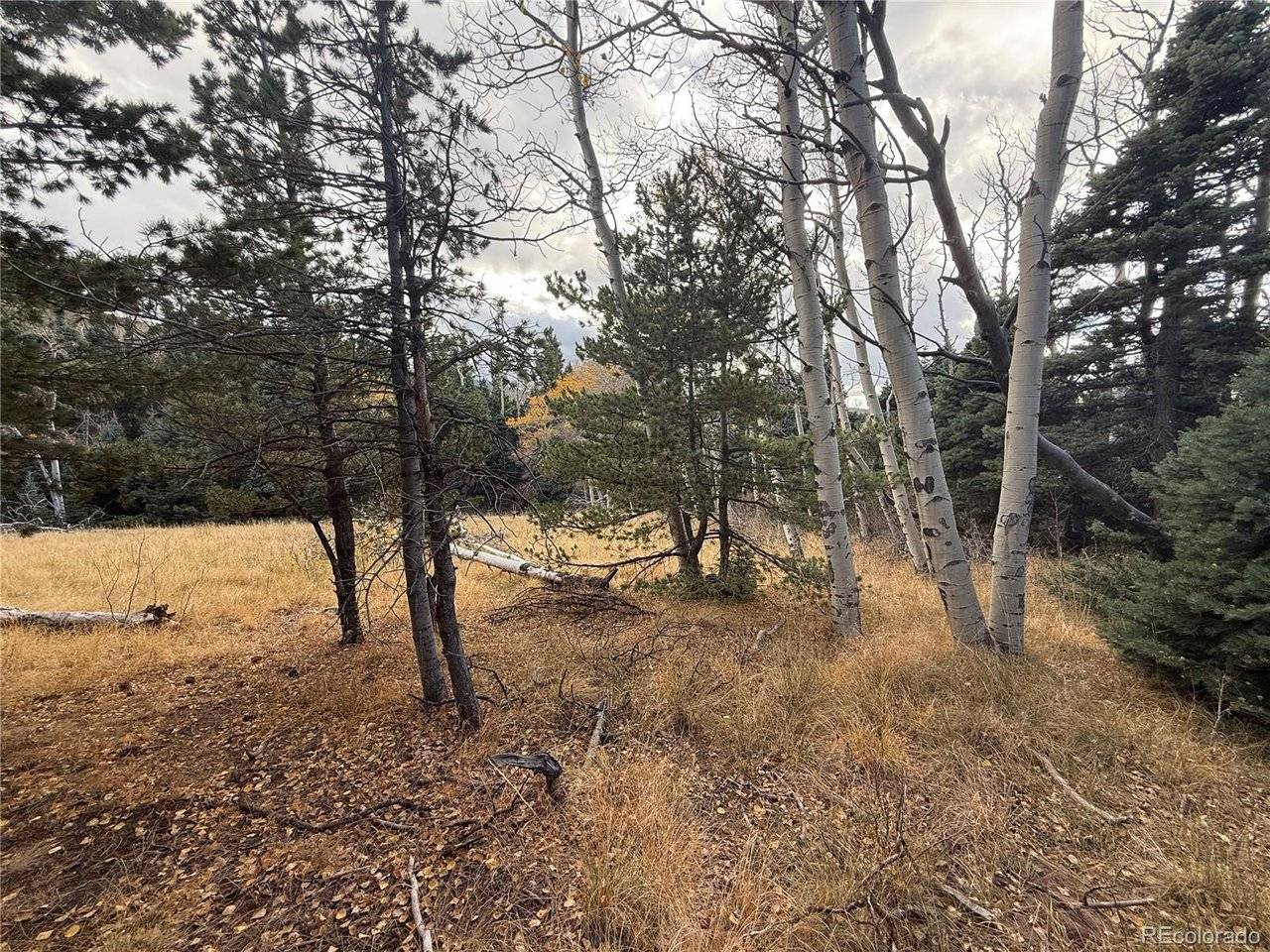 2662 Petito, Fort Garland, CO 81133