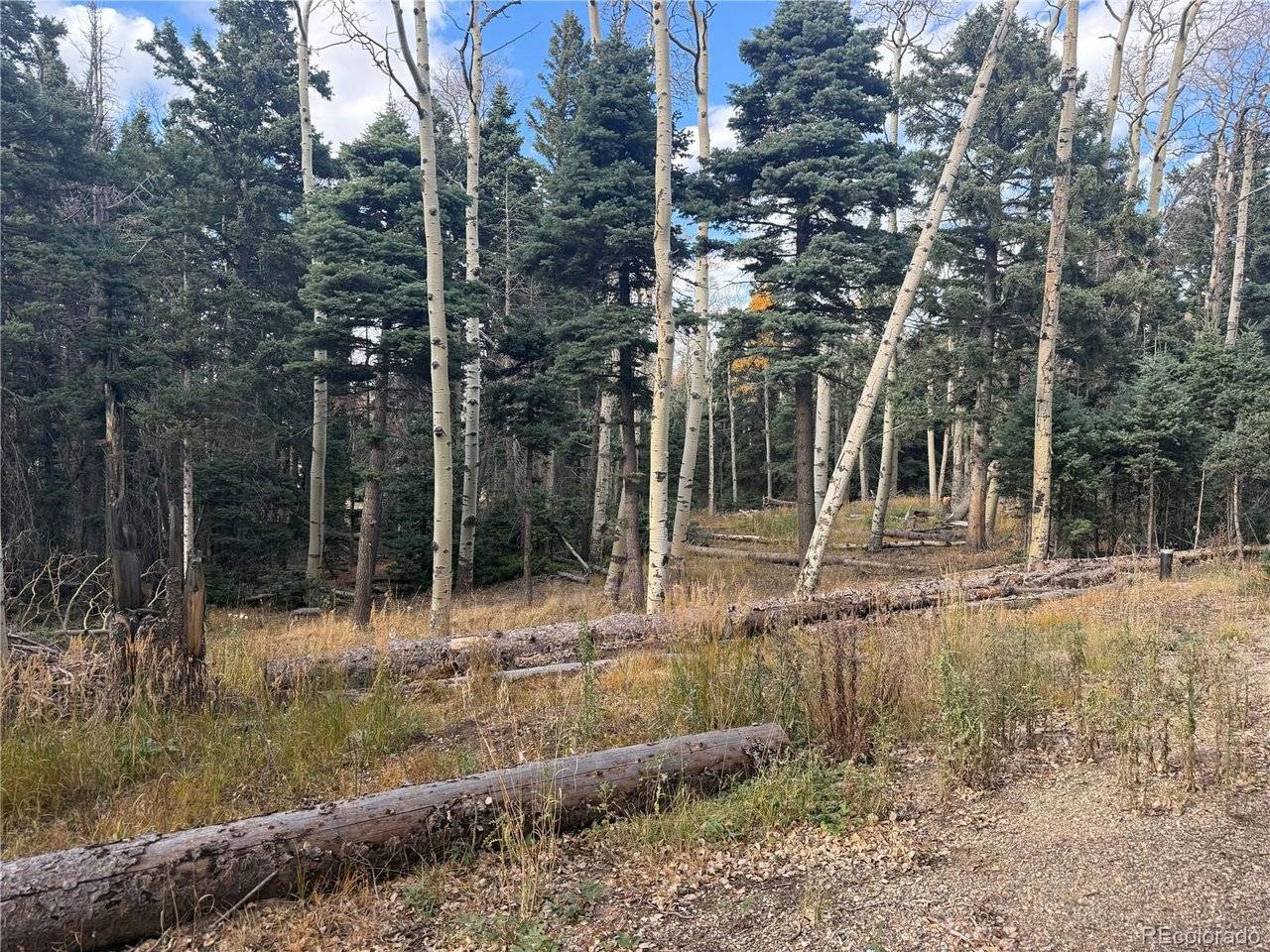 2662 Petito, Fort Garland, CO 81133