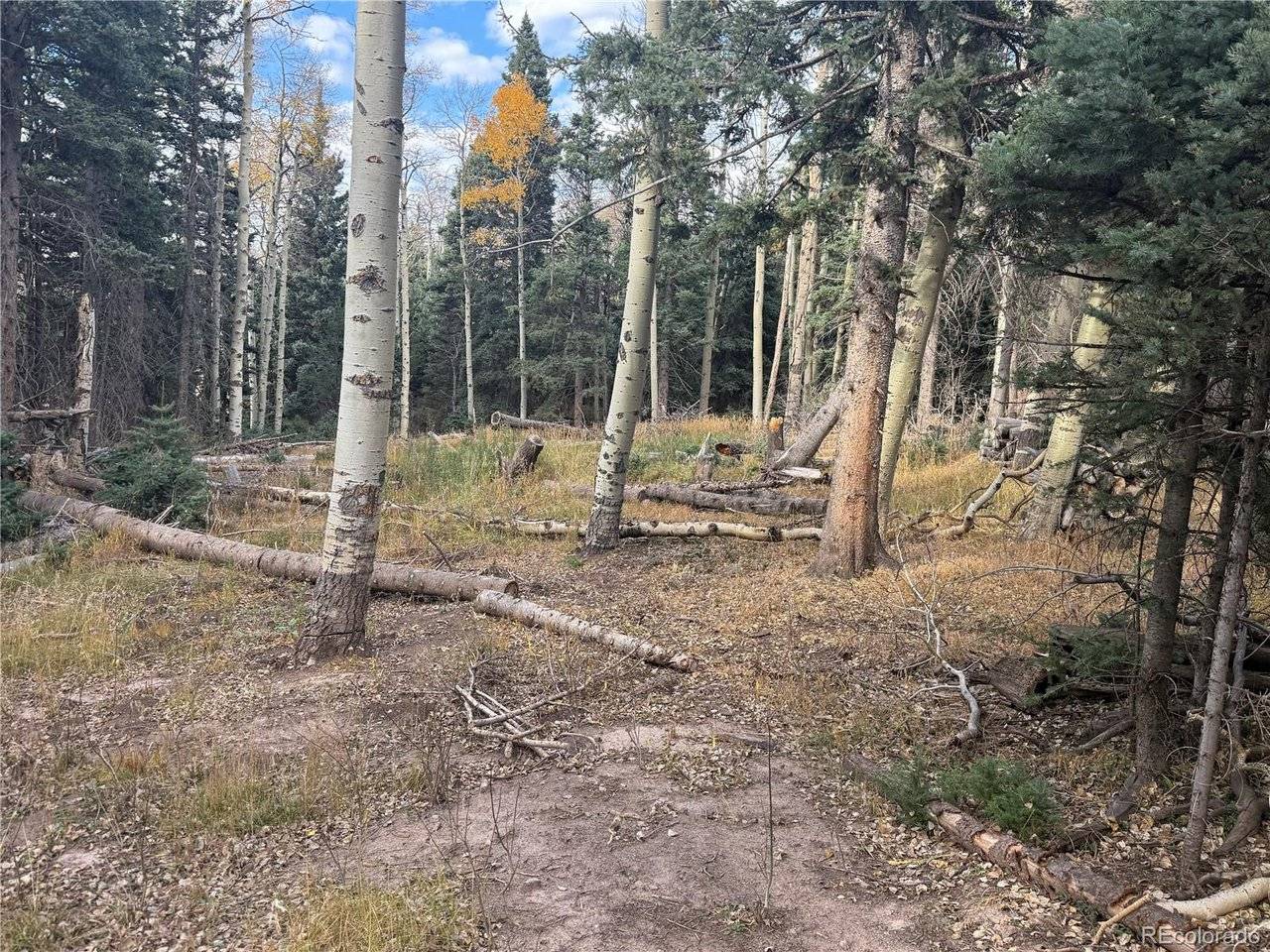 2662 Petito, Fort Garland, CO 81133