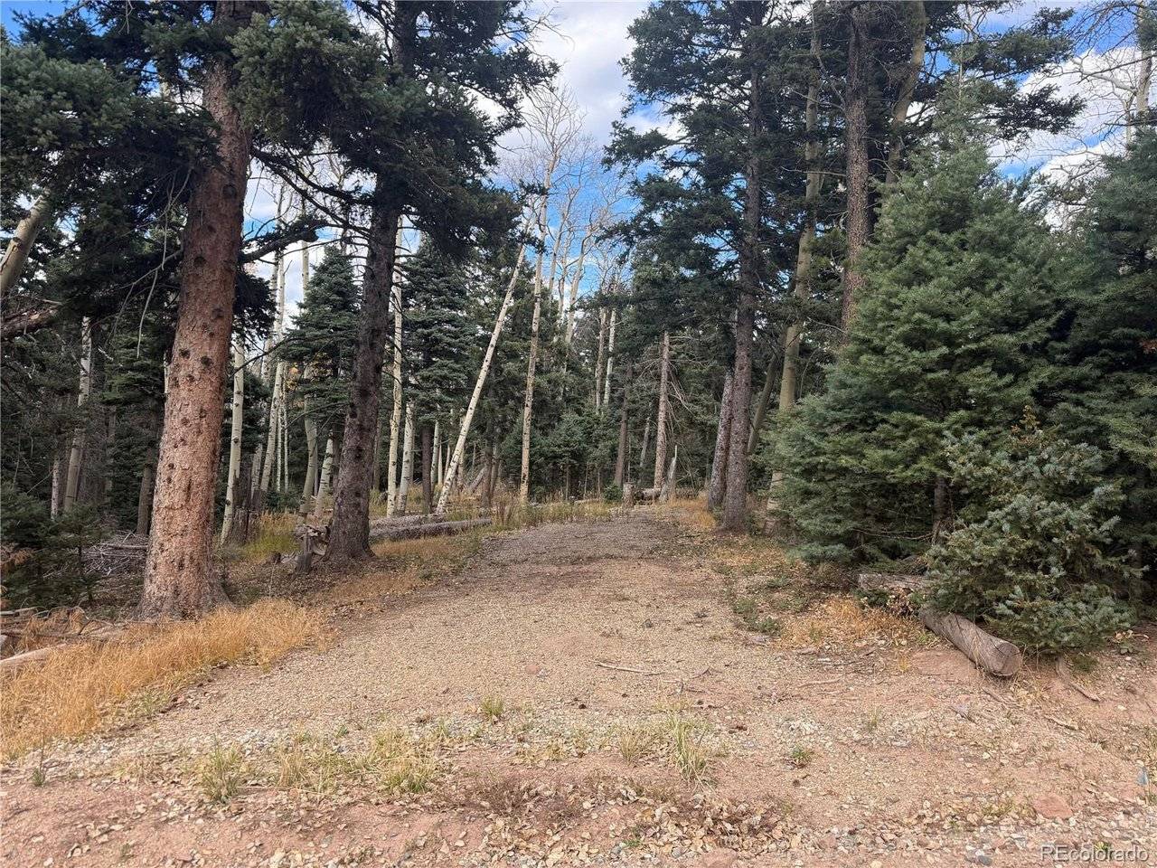 2662 Petito, Fort Garland, CO 81133