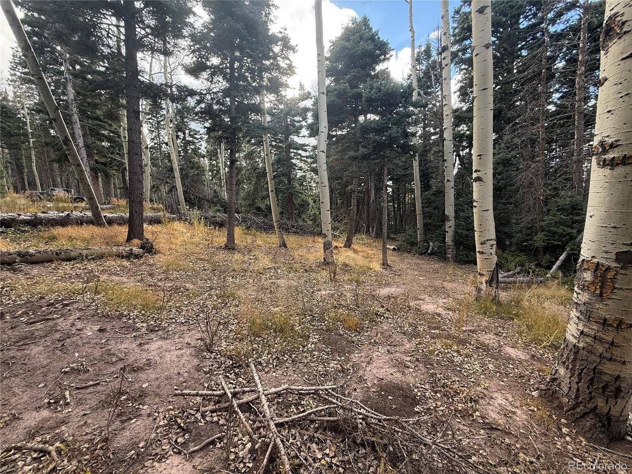 2662 Petito, Fort Garland, CO 81133