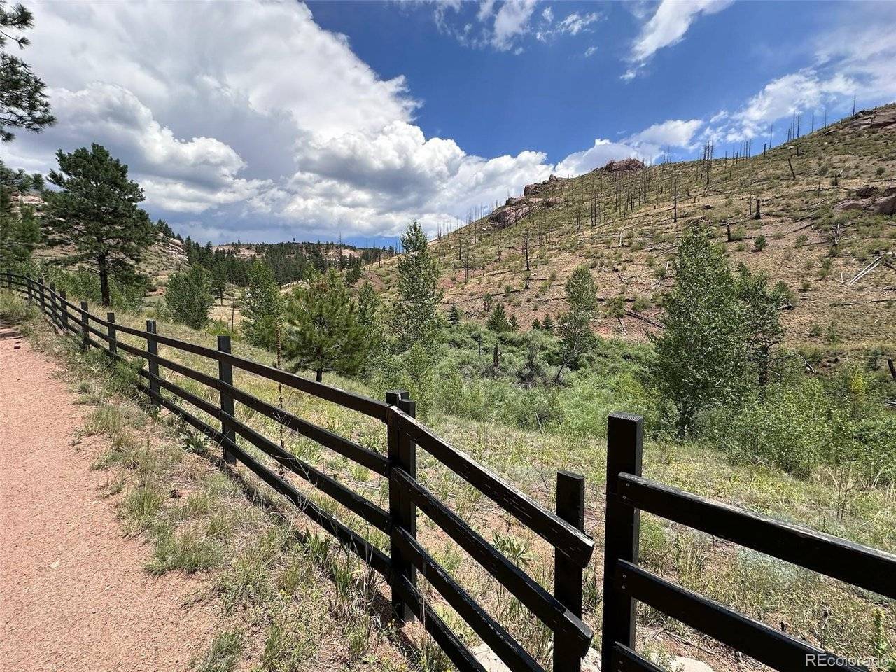 16320 Cochise, Pine, CO 80470