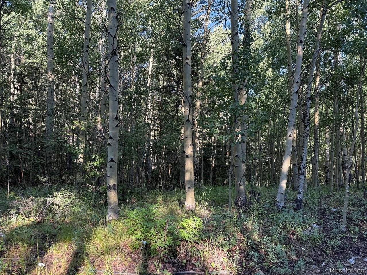 5331 Hull, Fort Garland, CO 81133
