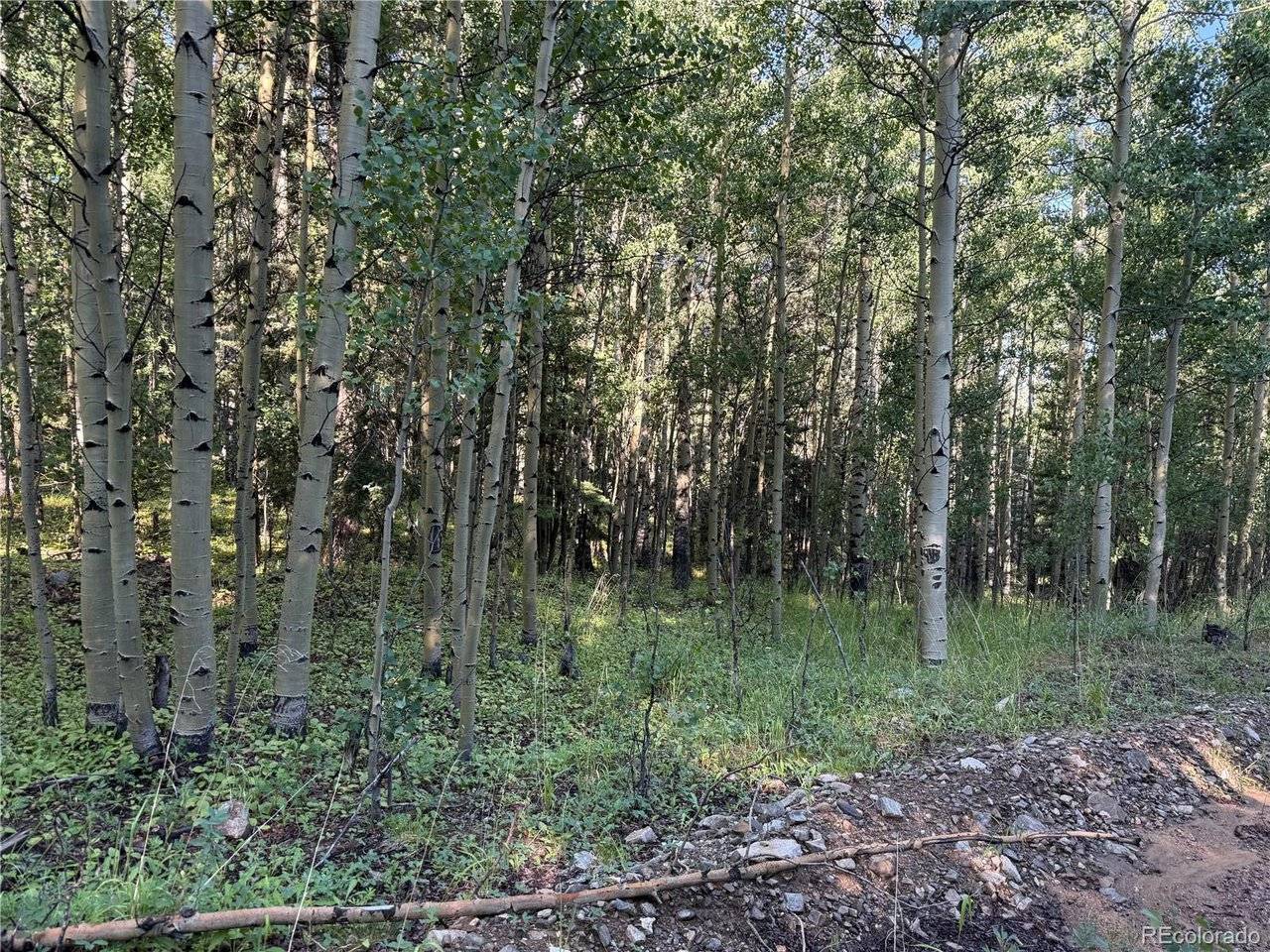 5331 Hull, Fort Garland, CO 81133