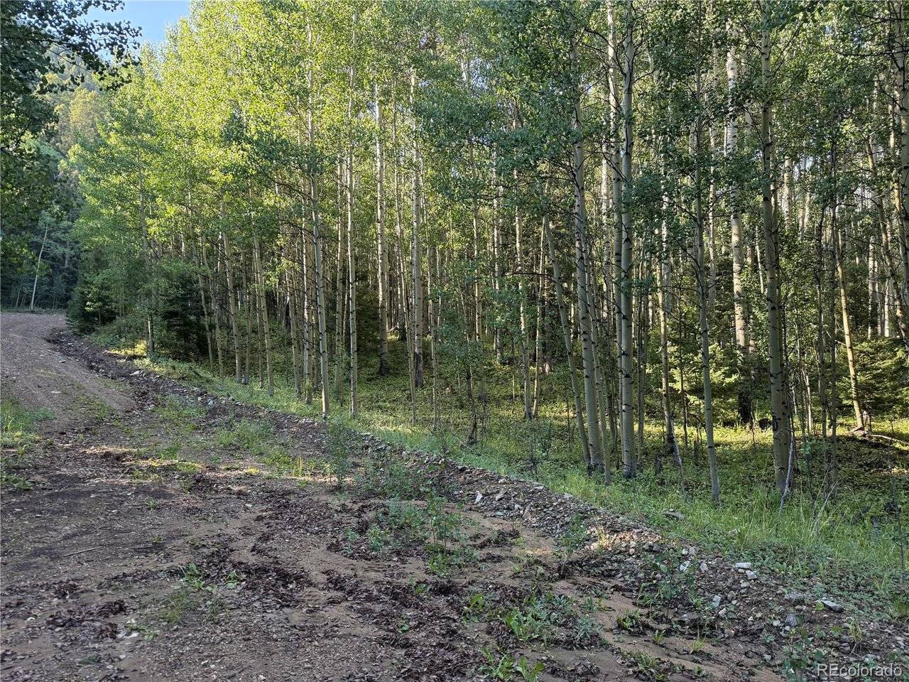 5331 Hull, Fort Garland, CO 81133