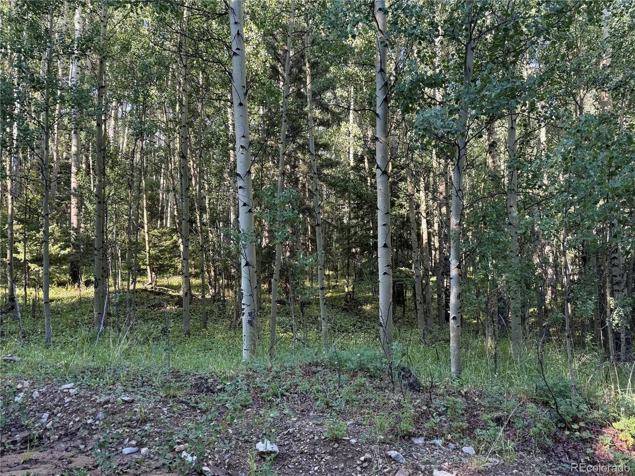 5331 Hull, Fort Garland, CO 81133