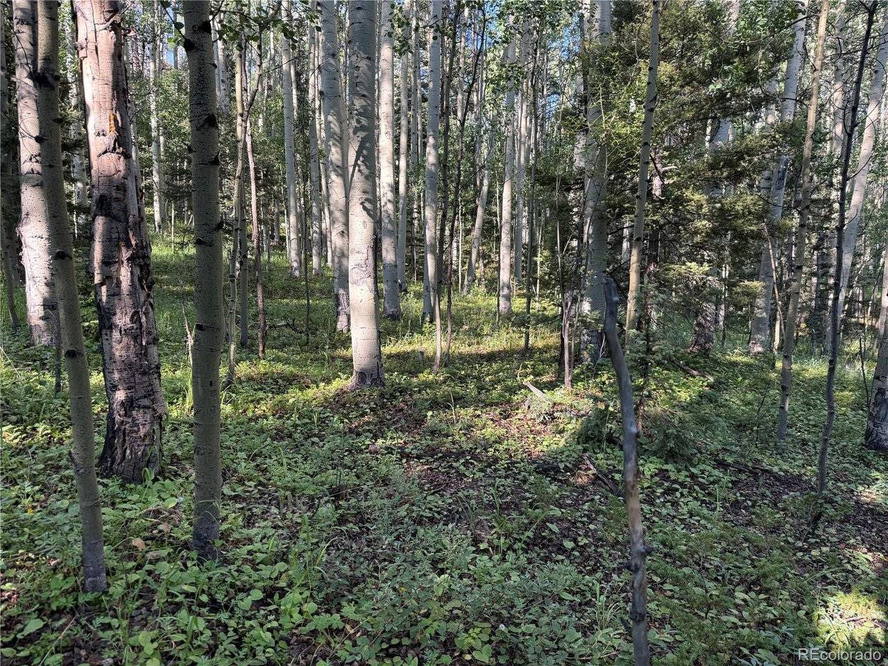 5331 Hull, Fort Garland, CO 81133