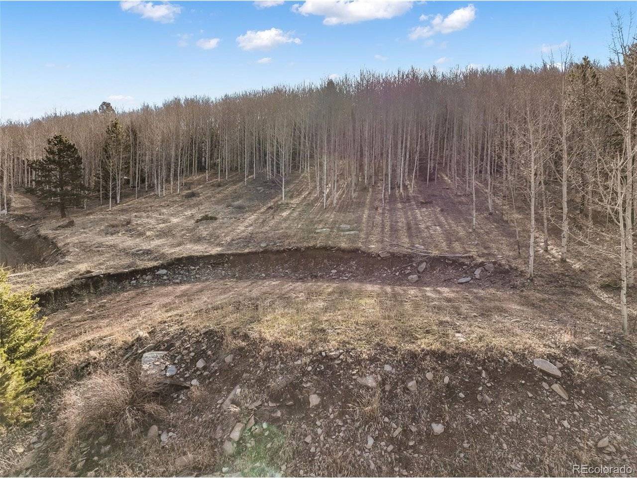 690 Anges, Cripple Creek, CO 80813